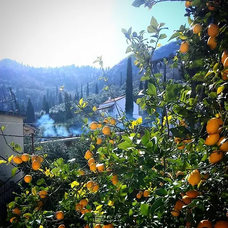 The Banana Ξενοδοχείο με διαμερίσματα